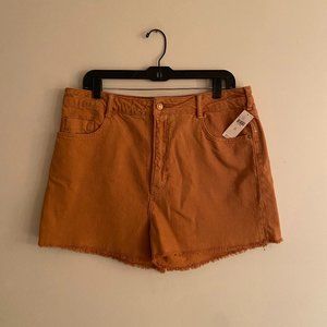 NWT! Anthropologie Pilcro Burnt Orange Shorts (Size 32)